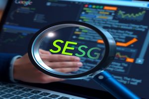 肇庆SEO服务费用解析：寻找性价比最高的SEO服务方案。